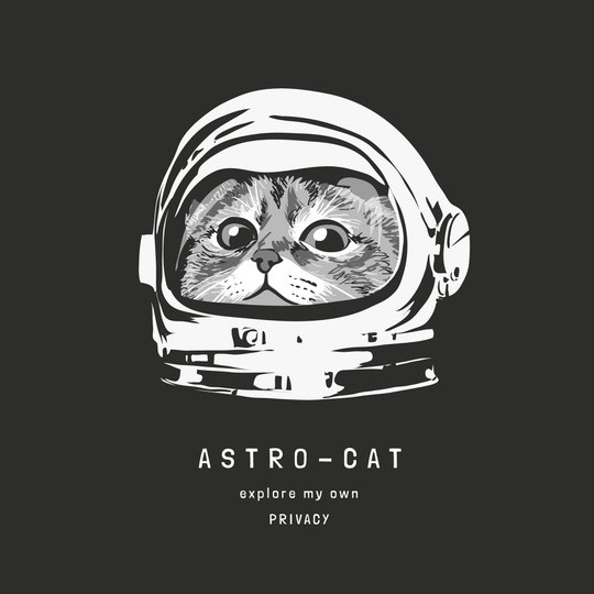 Áo thun in hình Astro Cat mềm mịn co dãn thấm hút mồ hôi đủ size 40-100kg form rộng Basetee Unisex