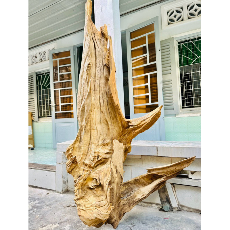 Lũa gỗ setup thuỷ sinh / Decor tiểu cảnh - MẪU TO 24 KG SHIP HỎA TỐC ...