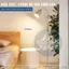 Đèn Cây Decor Trang Trí Nội Thất Phòng Khách Phòng Ngủ - Bóng LED chống cận