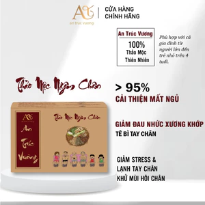 Thảo mộc ngâm chân An Trúc Vương Hộp 20 gói dược liệu ngâm chân giảm đau nhức làm ngủ ngon thư giãn