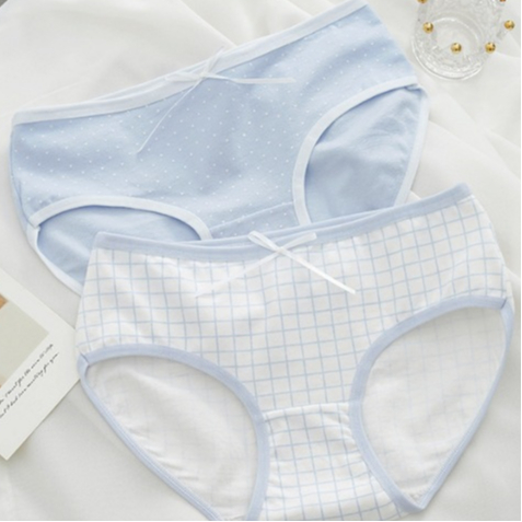 [ Xả Hàng ] Quần lót nữ cotton lưng thun co dãn ôm eo, Quần chip cotton đáy may 2 lớp kháng khuẩn ZANABRA L8030