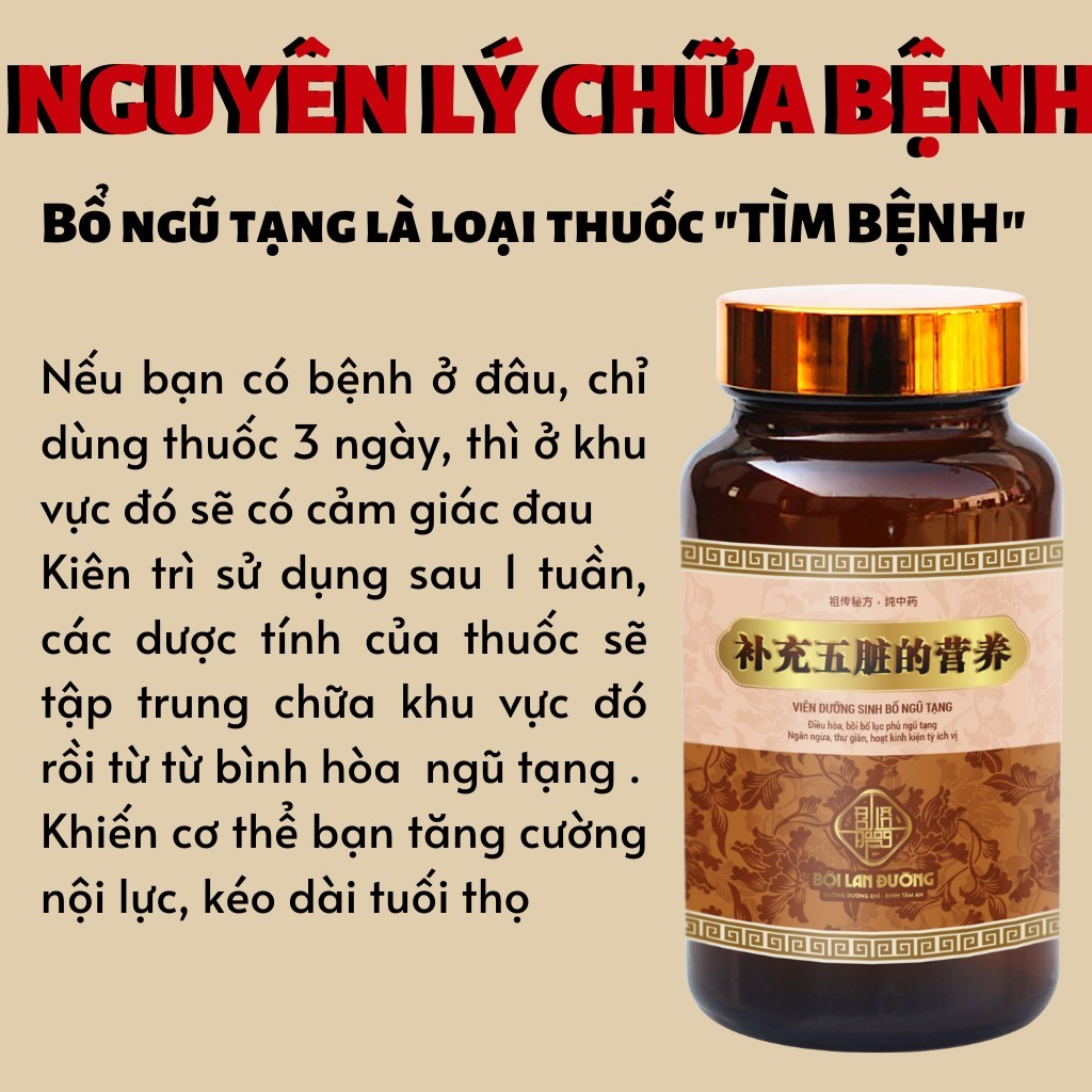[Phục hồi sau tai biến] Viên bổ lục phủ ngũ tạng tăng cường tuổi thọ, giúp bình hòa âm dương, thư giãn gân cốt hũ 600v