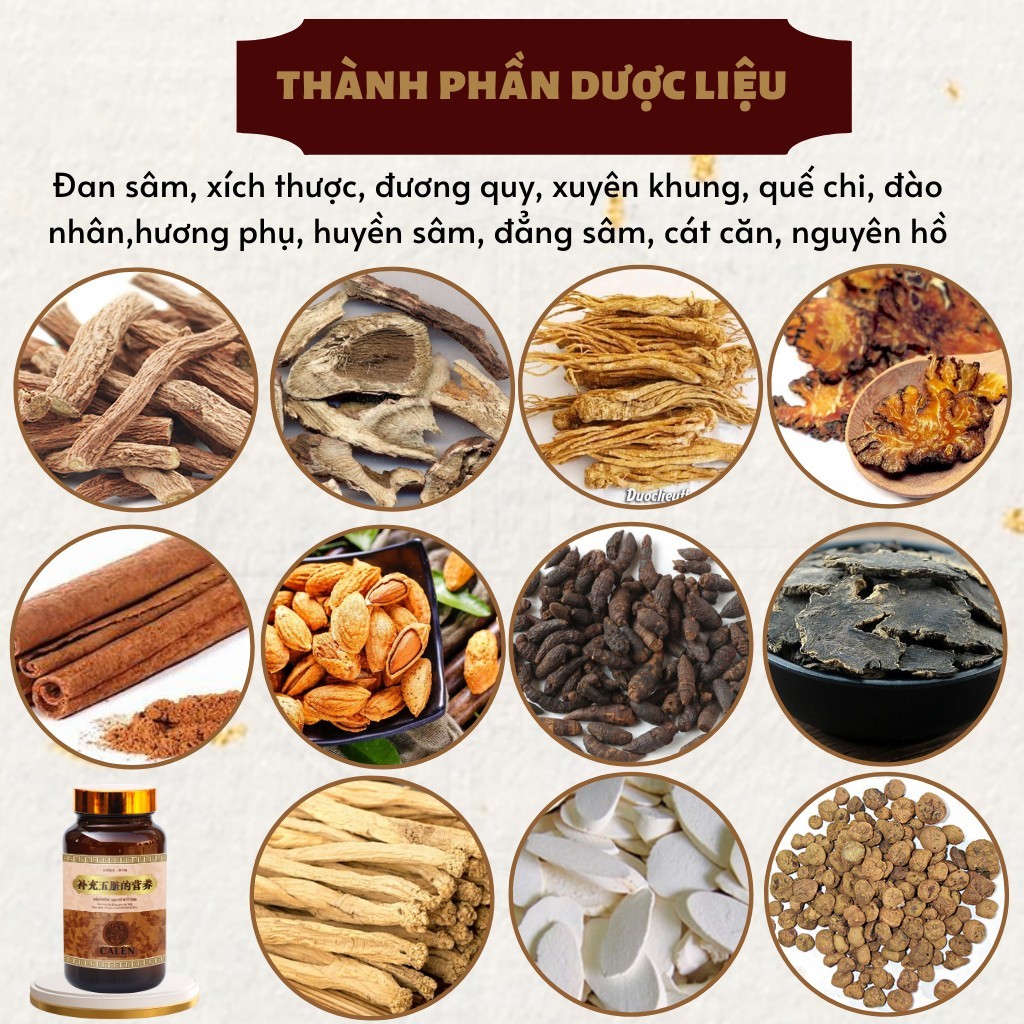 [Phục hồi sau tai biến] Viên bổ lục phủ ngũ tạng tăng cường tuổi thọ, giúp bình hòa âm dương, thư giãn gân cốt hũ 600v