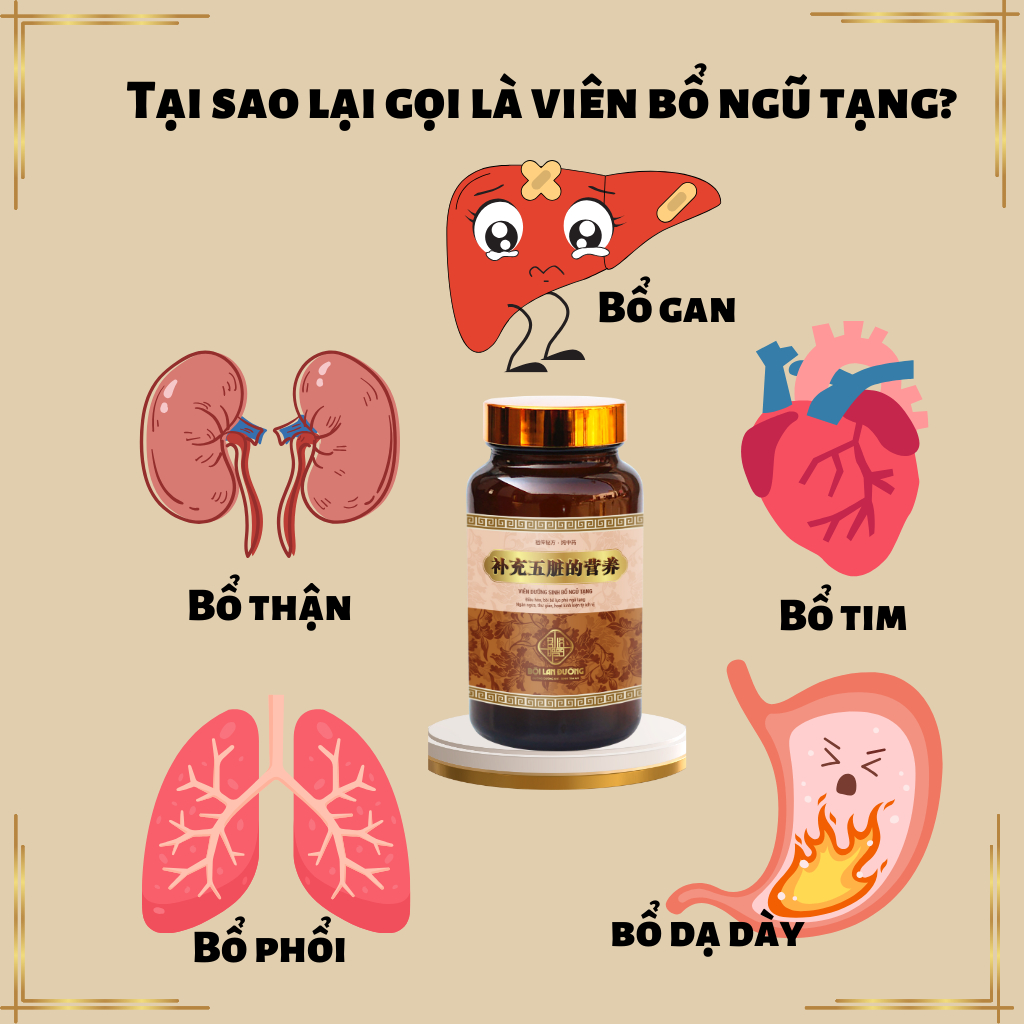 [Phục hồi sau tai biến] Viên bổ lục phủ ngũ tạng tăng cường tuổi thọ, giúp bình hòa âm dương, thư giãn gân cốt hũ 600v