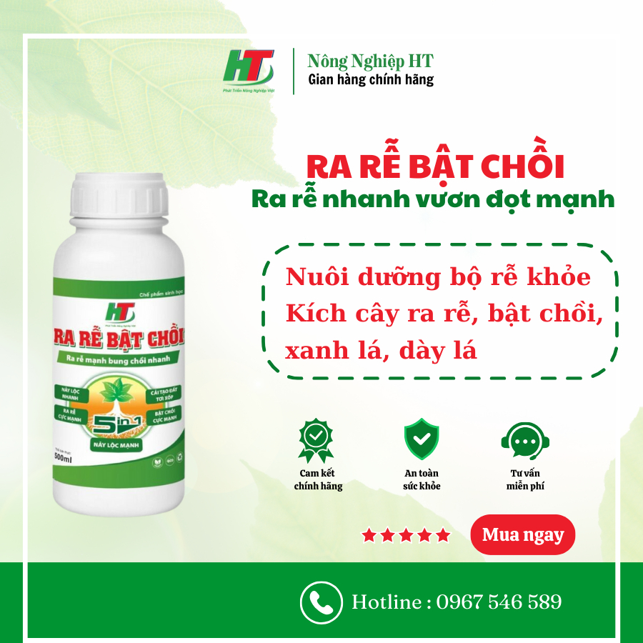 Ra rễ nhanh bật chồi mạnh giúp cây khỏe xanh lá, dày lá | Shopee Việt Nam