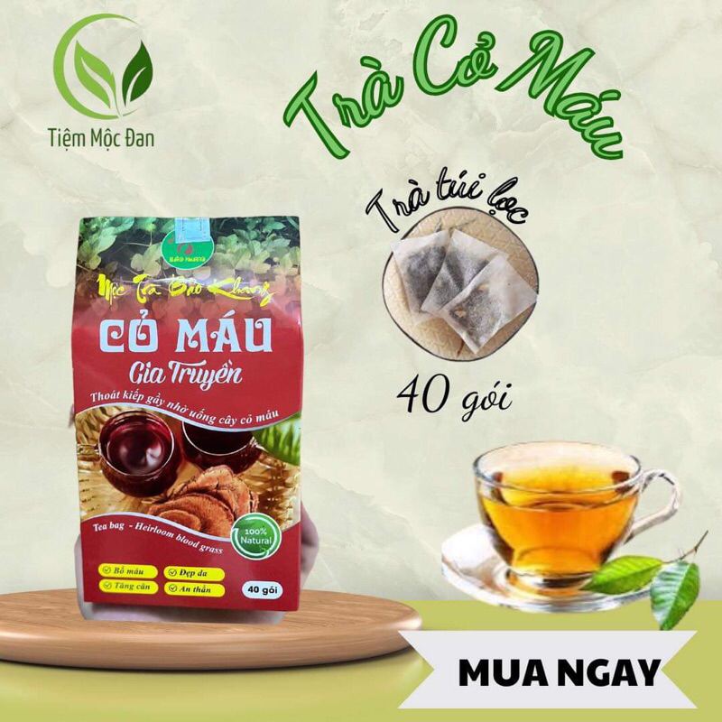 Trà túi lọc Cỏ máu tăng cân (MÃ A11) hộp 40 gói, tăng c…