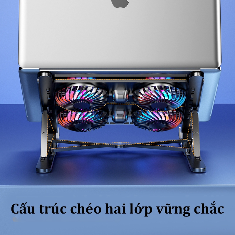 Ảnh 5