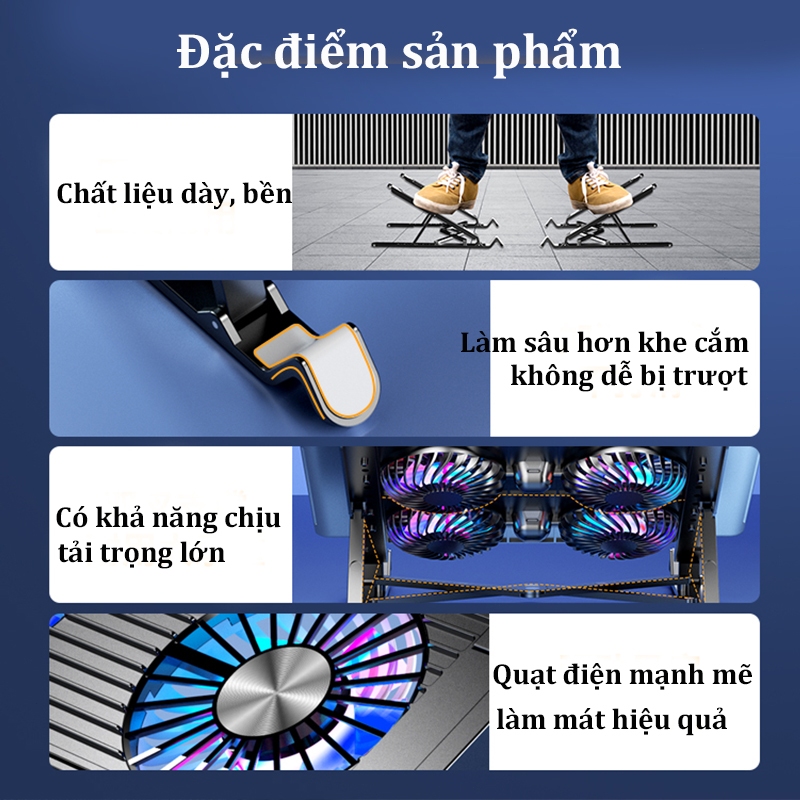 Ảnh 3