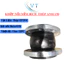 KHỚP NỐI MỀM BÍCH THÉP ANSI 150 DN200-DN300