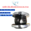 Khớp nối mềm cao su EPDM mặt bích Inox 304 tiêu chuẩn PN16 - Khớp chống rung chịu áp lực cao DN200 (8 Inch), DN250