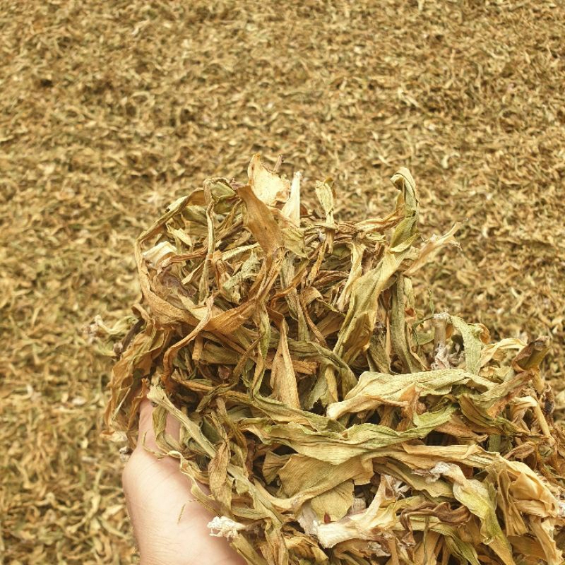 lá trinh nữ hoàng cung khô