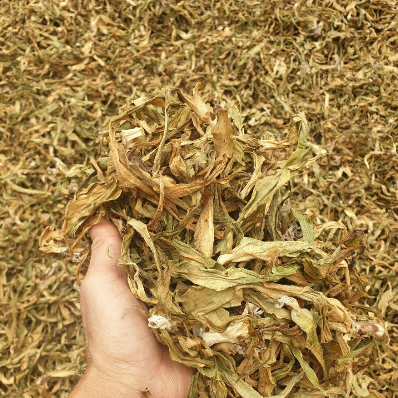 lá trinh nữ hỗ trợ giảm nhiệt