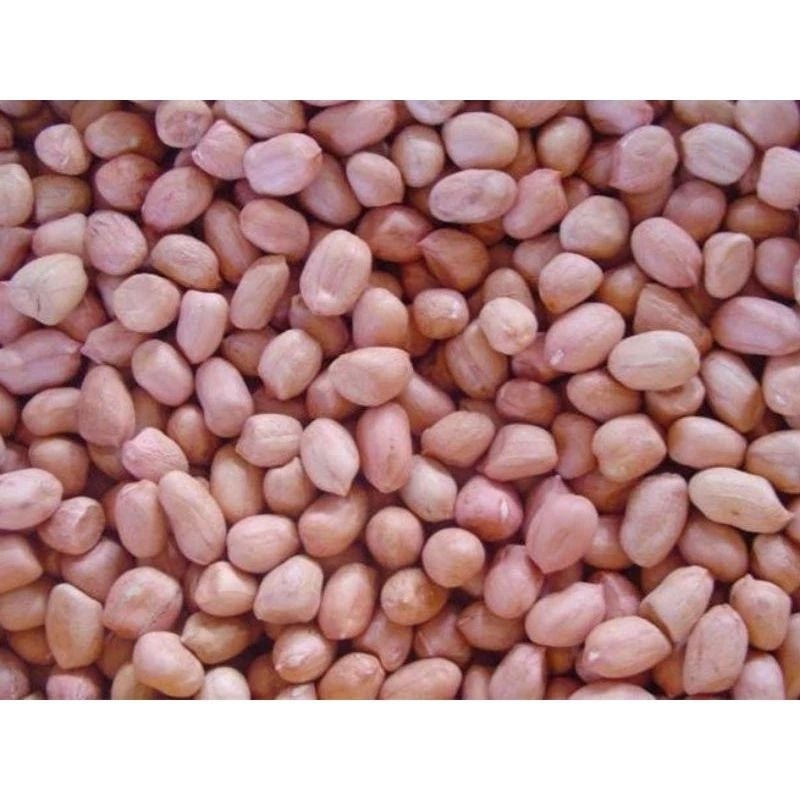 1KG Lạc bóc tay hạt to ngon lạc quê