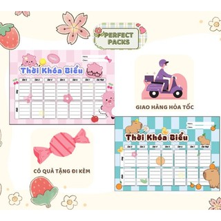 set 8 tờ Thời khóa biểu, in hình theo yêu cầu, Kế hoạch hàng tuần mẫu 2024, nhận in file thiết kế