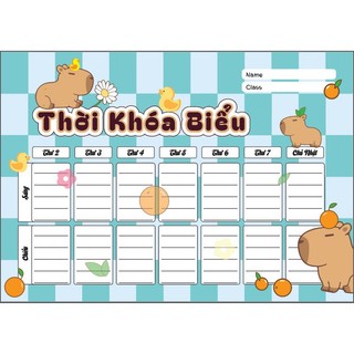 set 8 tờ Thời khóa biểu, in hình theo yêu cầu, Kế hoạch hàng tuần mẫu 2024, nhận in file thiết kế