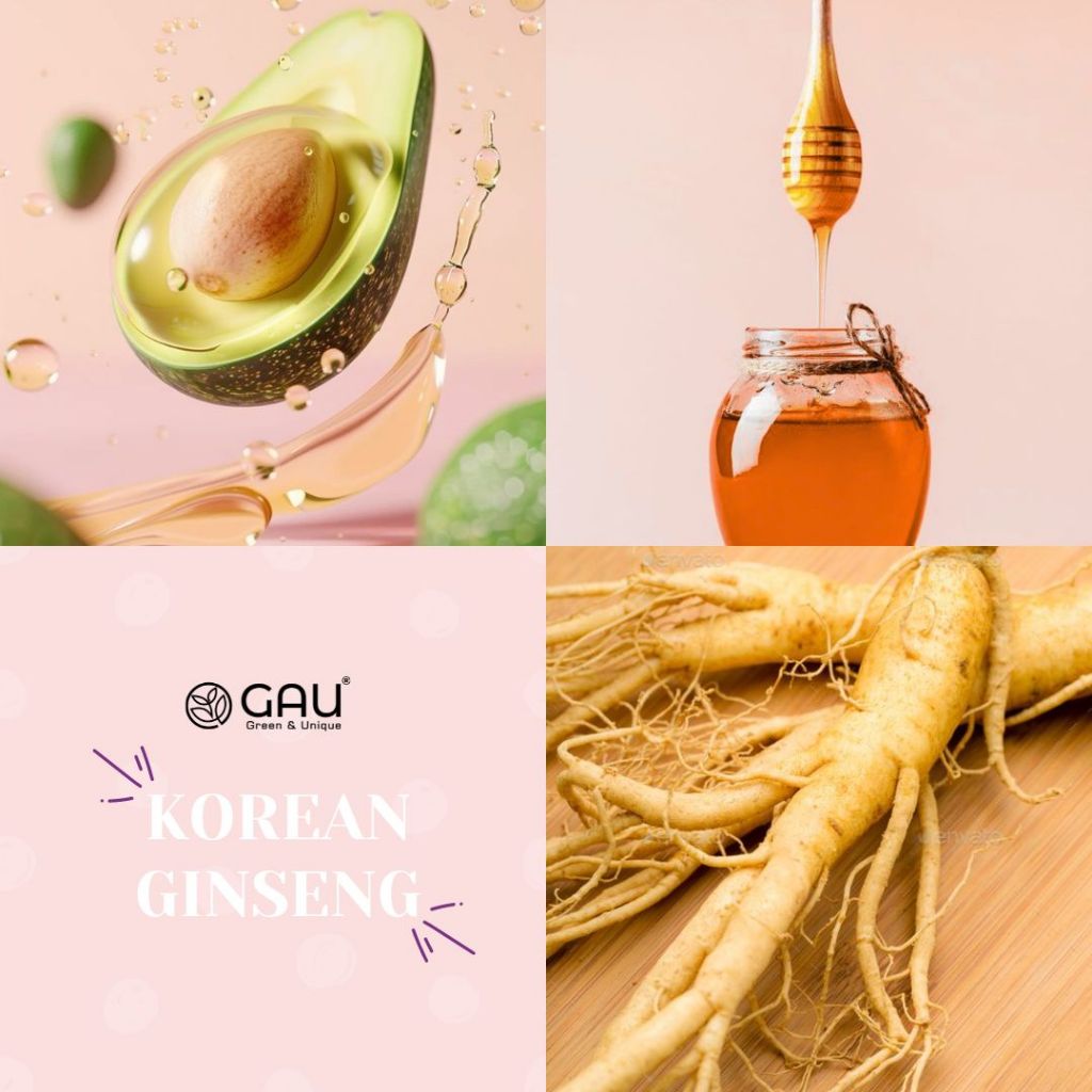 SỮA TẮM DƯỠNG TRẮNG NHÂN SÂM HÀN QUỐC Tự nhiên Hữu cơ GAU Chống lão hoá da Lưu hương Quyến rũ 1L