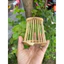 rọ chống ngoáy chim chào mào - shop lồng chim đôla