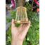 rọ chống ngoáy chim chào mào - shop lồng chim đôla
