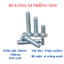 Bulong Mạ Kẽm Xi Trắng Cấp Bền 8.8 Size M10 - Dài 20mm đến 150mm - Lục Giác Ngoài Chịu Lực DIN 933
