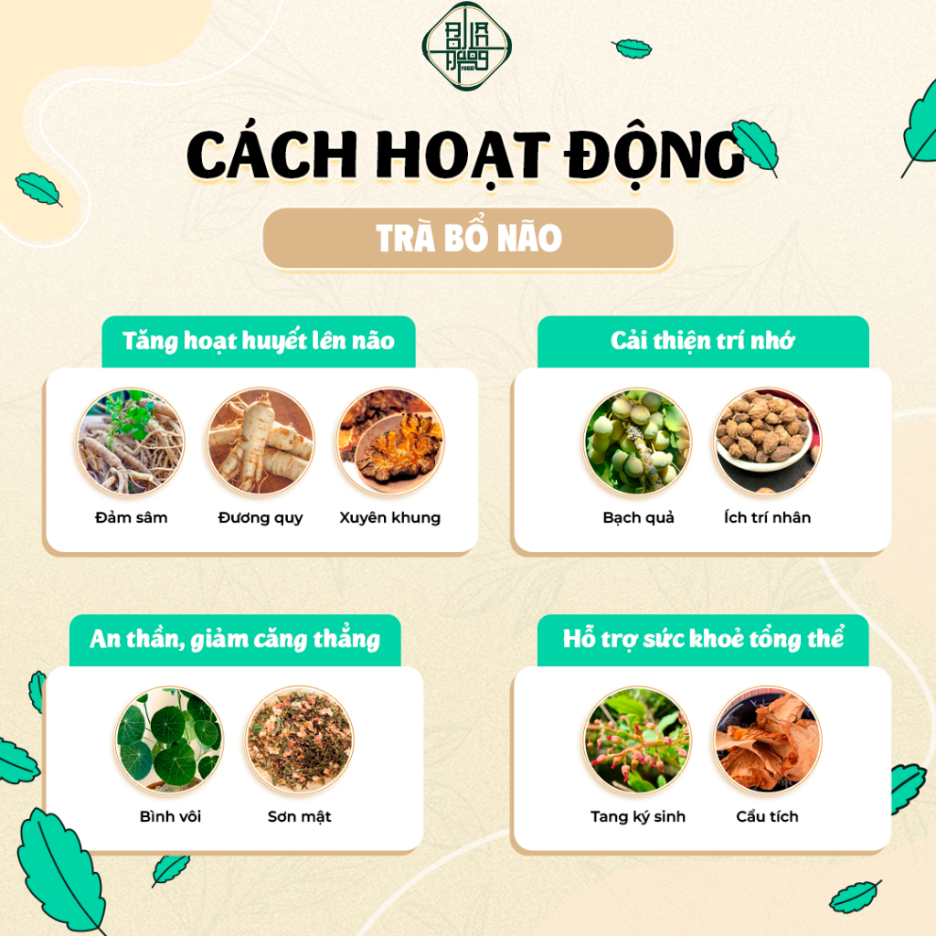 Trà Bổ Não Bội Lan Đường - Giúp Tăng Cường Trí Nhớ, Tập Trung, Tuần Hoàn Máu Não, Ngừa Tai Biến