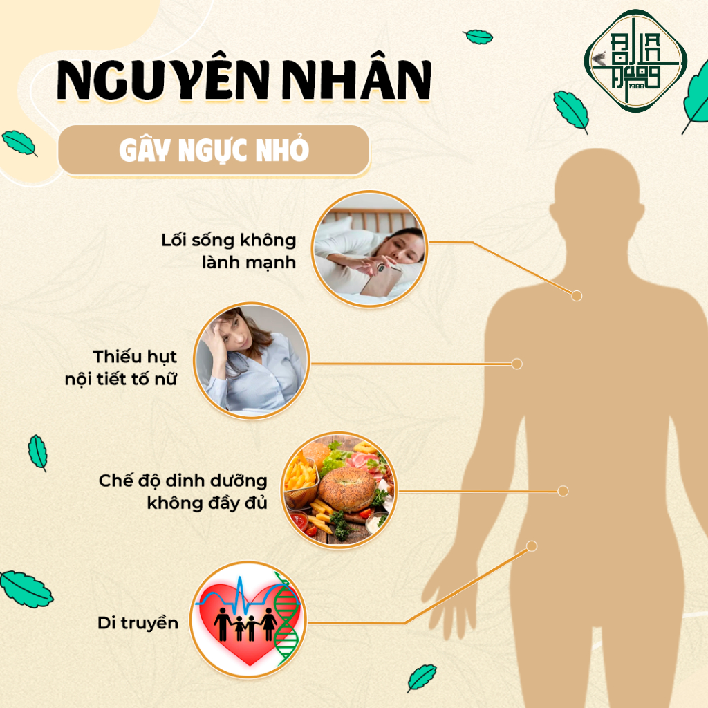 [Có Che Tên] Trà Tăng Vòng 1 - Bội Lan Đường - Mầm Đậu Nành, Sâm Tố Nữ, Làm Đẹp Da, Săn Chắc - 50loc