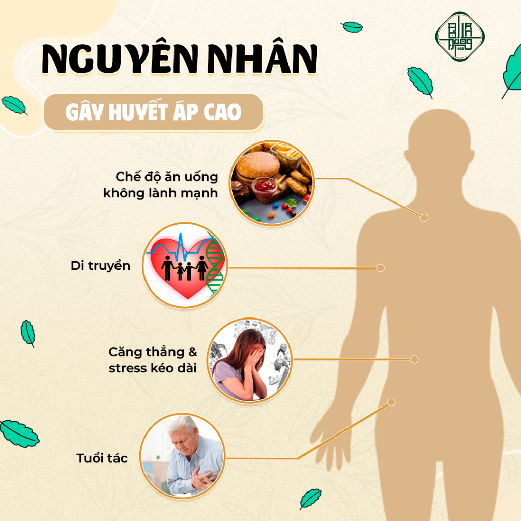 Trà Huyết Áp Cao Bội Lan Đường - Giúp Hạ, Ổn Định Huyết Áp, Phòng Ngừa Vấn Đề Tim Mạch, Giảo Cổ Lam, diệp hạ châu, lá ổi