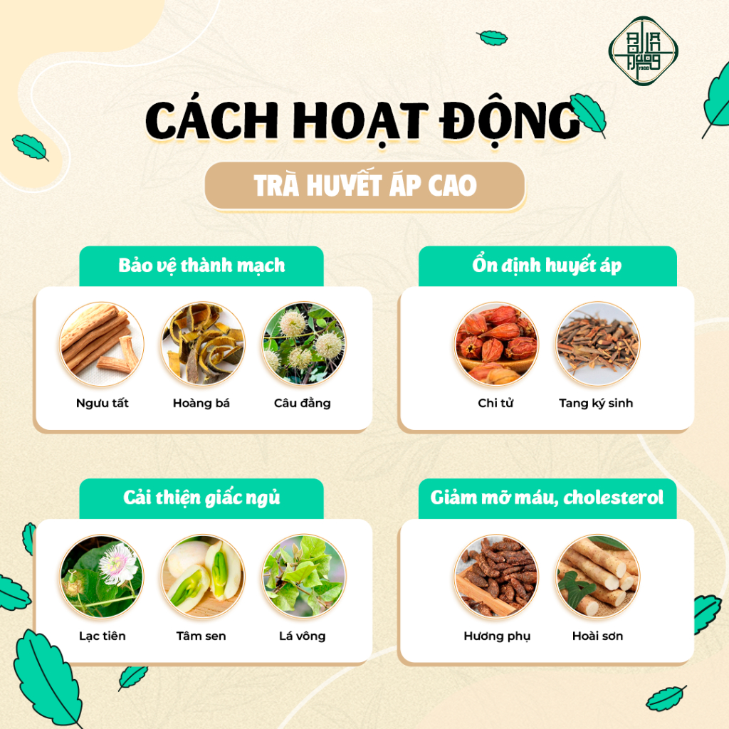 Trà Huyết Áp Cao Bội Lan Đường - Giúp Hạ, Ổn Định Huyết Áp, Phòng Ngừa Vấn Đề Tim Mạch, Giảo Cổ Lam, diệp hạ châu, lá ổi