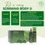 Bộ đai ủ nóng Slimming Body 2 SB-ll cải tiến ủ nóng tan mỡ giảm mỡ TẶNG ĐAI NỊT BỤNG
