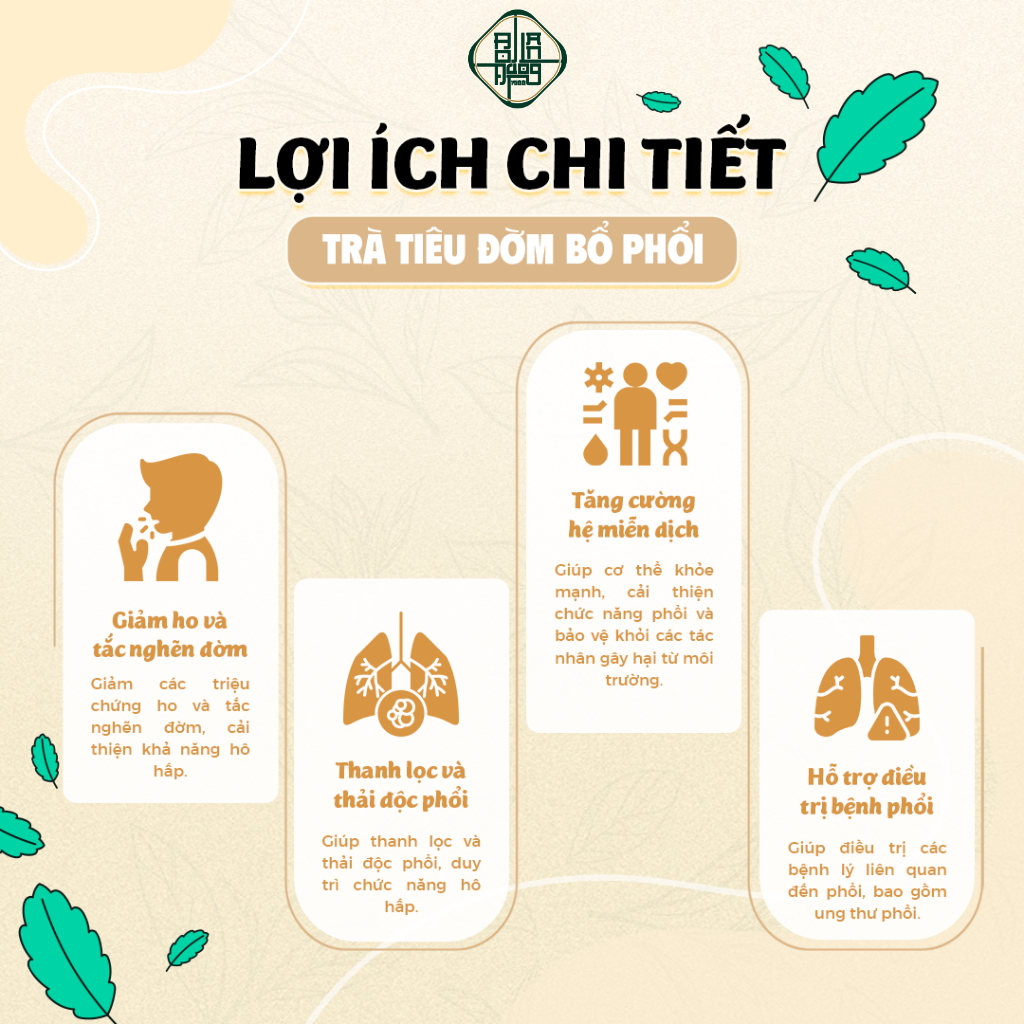 Trà Bổ Phổi Bội Lan Đường - Thảo Dược Tiêu Đờm, Giảm Ho Nhanh, Giảm Đau Rát Họng, Bảo Vệ Hô Hấp