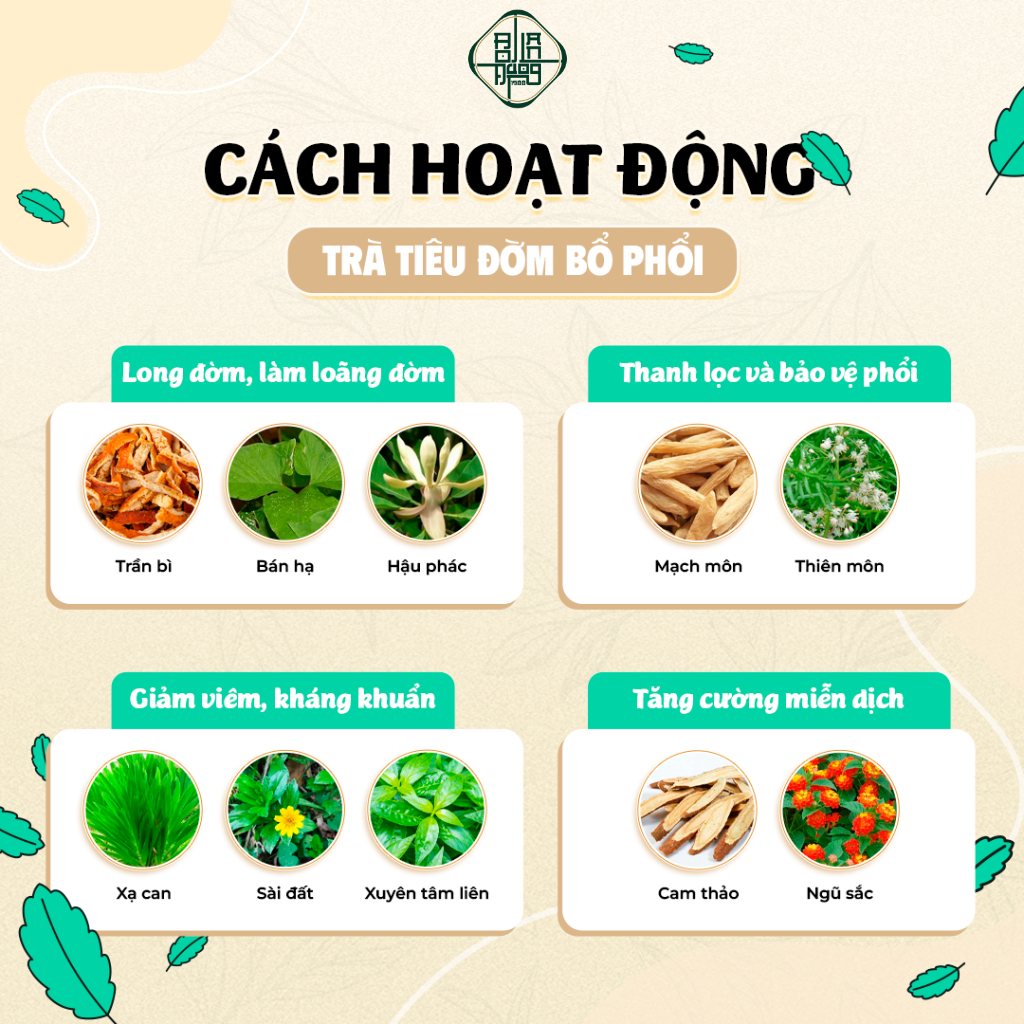 Trà Bổ Phổi Bội Lan Đường - Thảo Dược Tiêu Đờm, Giảm Ho Nhanh, Giảm Đau Rát Họng, Bảo Vệ Hô Hấp