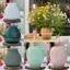 Bình Hoa Gốm Sứ Bát Tràng Dáng Lu Bia Bầu Tròn Màu Pastel Lọ Căm Hoa Decor Để Bàn GomDecorTSC