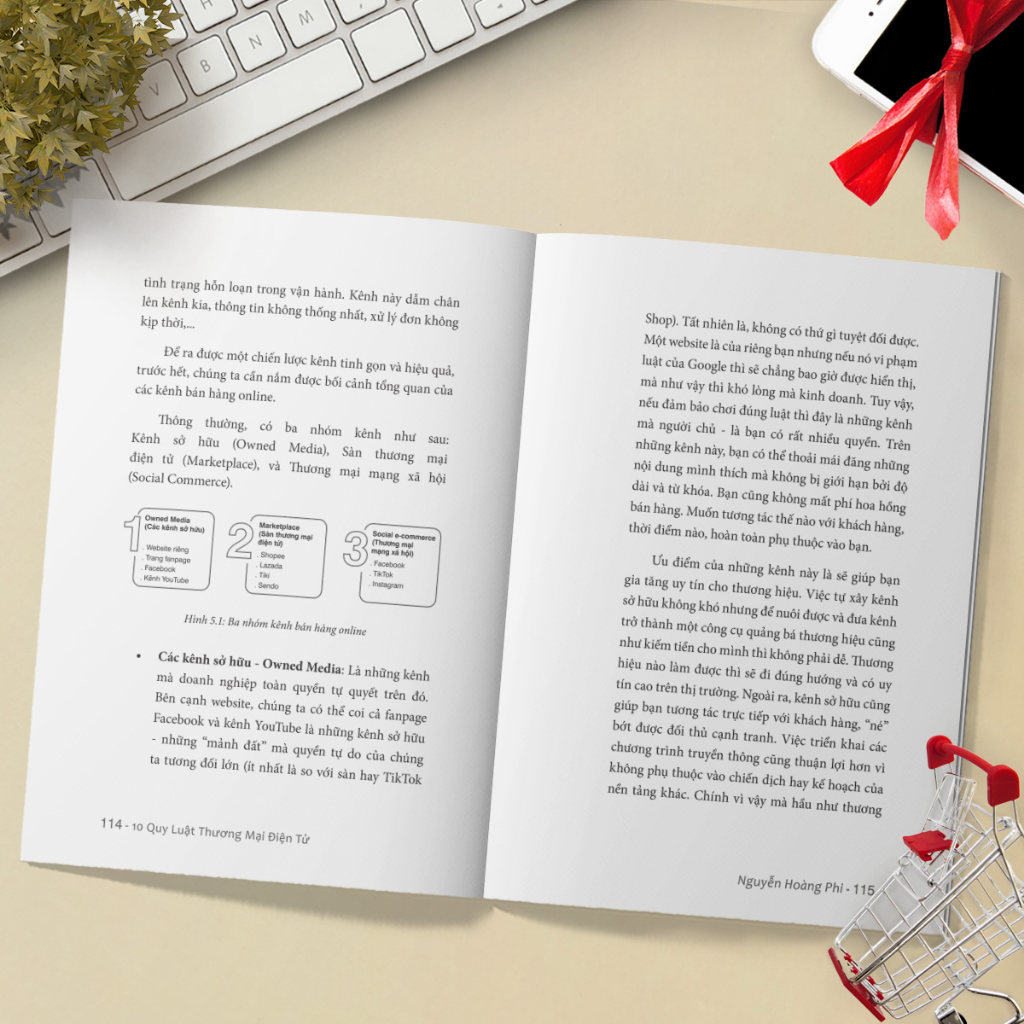 Sách - 10 Quy Luật Thương Mại Điện Tử - Bộ Sách Trên Lưng Khổng Tượng - Kinh Doanh Online