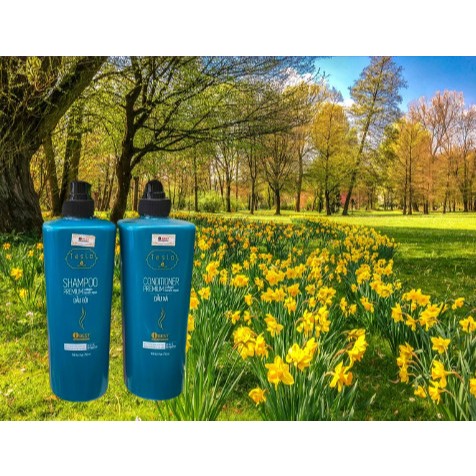 Dầu gội xả giảm rụng tóc, phục hồi hư tổn iBest Tesla Collagen Keratin 750ml