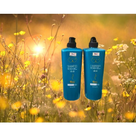 Dầu gội xả giảm rụng tóc, phục hồi hư tổn iBest Tesla Collagen Keratin 750ml