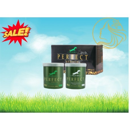 Cặp Thuốc Duỗi Tóc ibest Perfect 1000ml*2
