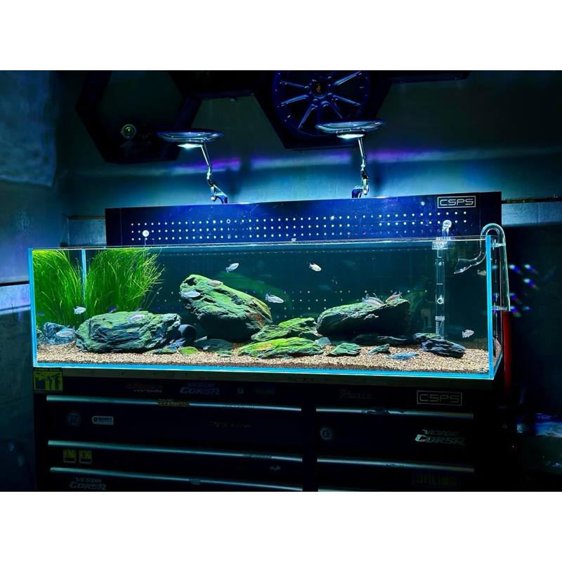 Đèn Zetlight UFO PRO MAX F8 – Đèn LED cho hồ thủy sinh, biotope