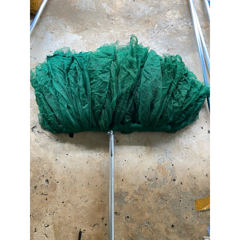 Rêu mảnh to ngang 50cm