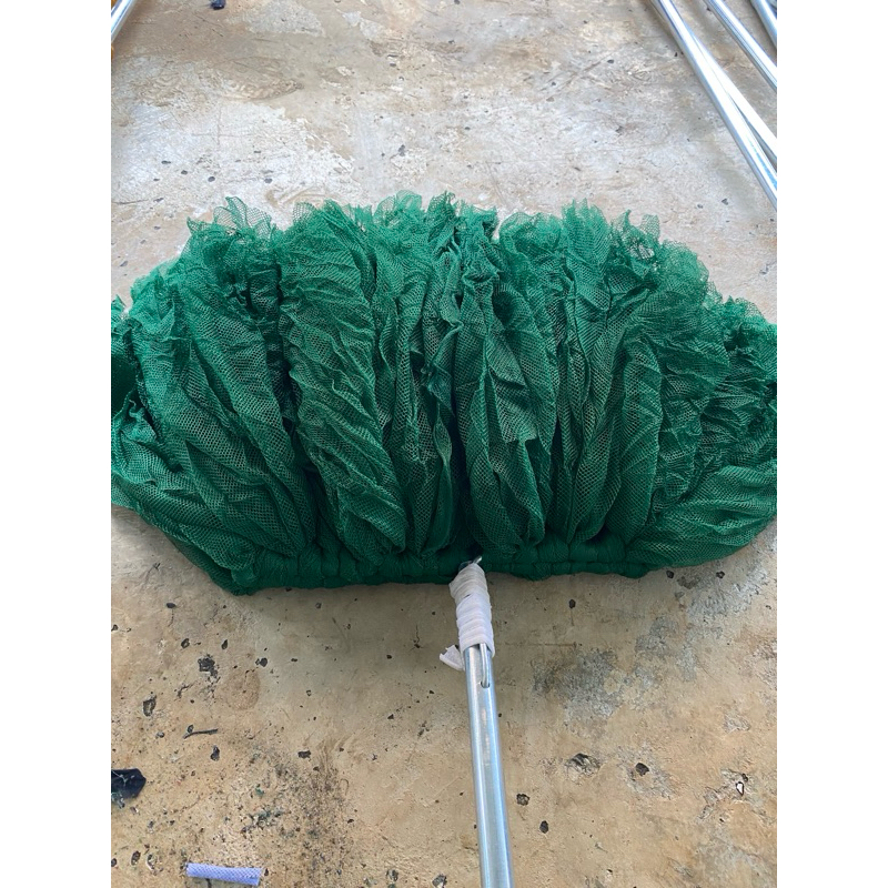 Rêu mảnh to ngang 30cm