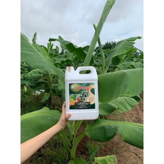 Chế phẩm Green s2+, phòng trừ nấm bệnh can 5L