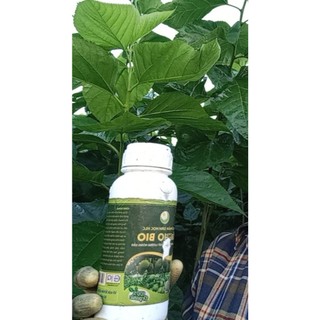 Phân bón sinh học Amino can 5L, dinh dưỡng tổng hợp  giúp cây khoẻ, xanh lá, mập chồi, nhú đọt