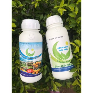 Combo 2 chai 500ml cho cây ra hoa nhiều đậu trái, dưỡng bông , chống rụng bông và trái