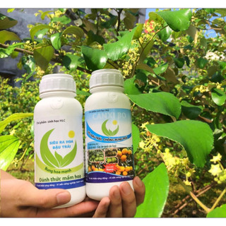 Combo 2 chai 500ml cho cây ra hoa nhiều đậu trái, dưỡng bông , chống rụng bông và trái