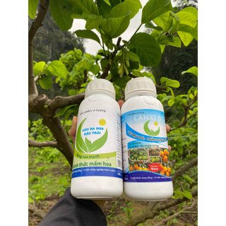 Combo 2 chai 500ml cho cây ra hoa nhiều đậu trái, dưỡng bông , chống rụng bông và trái