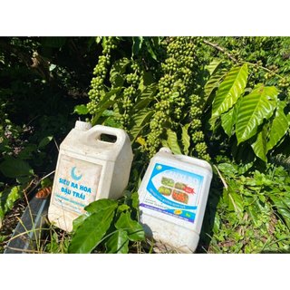 CANXI BO HLC 5L CHỐNG RỤNG HOA, CHỐNG RỤNG QUẢ NON, DƯỠNG QUẢ NON, THÚC QUẢ LỚN, CHỐNG NỨT QUẢ CHO CÂY TRỒNG