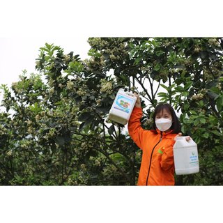 CANXI BO HLC 5L CHỐNG RỤNG HOA, CHỐNG RỤNG QUẢ NON, DƯỠNG QUẢ NON, THÚC QUẢ LỚN, CHỐNG NỨT QUẢ CHO CÂY TRỒNG