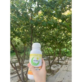 Nano đồng rửa vườn hlc can 5l, xử lý đất trồng, xử lý giá thể trồng cây, tẩy rửa rong rêu, nấm, vi khuẩn sau thu hoạch