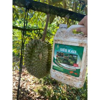 Siêu kali hlc can 5L, siêu ngọt trái, tăng độ ngọt trái, chắc trái, to củ, to hoa cho cây trông
