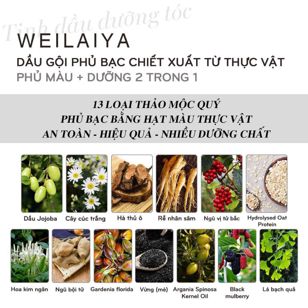 Ảnh Lõi Màu Phủ Bạc Dưỡng Tóc Weilaiya 100ml - Không kèm Đầu Lược Tiết Kiệm Hơn 3