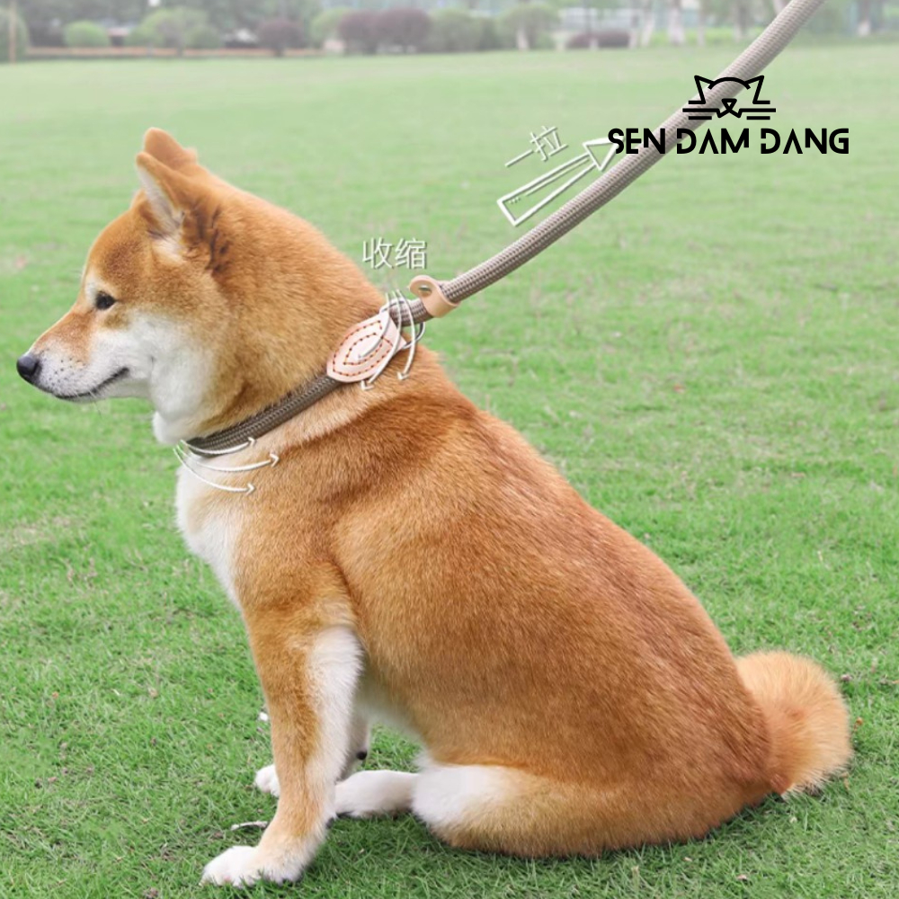 Dây Dắt Chữ P Cho Cún Lớn