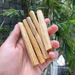 Gỗ Trắc Xanh Palo Santo (Mystic House Tarot Shop) - Sản Phẩm Authentic Chính Hãng 100%